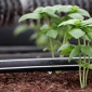 盛世润禾 大棚滴灌管 内镶式滴灌管 农用滴灌管生产厂家